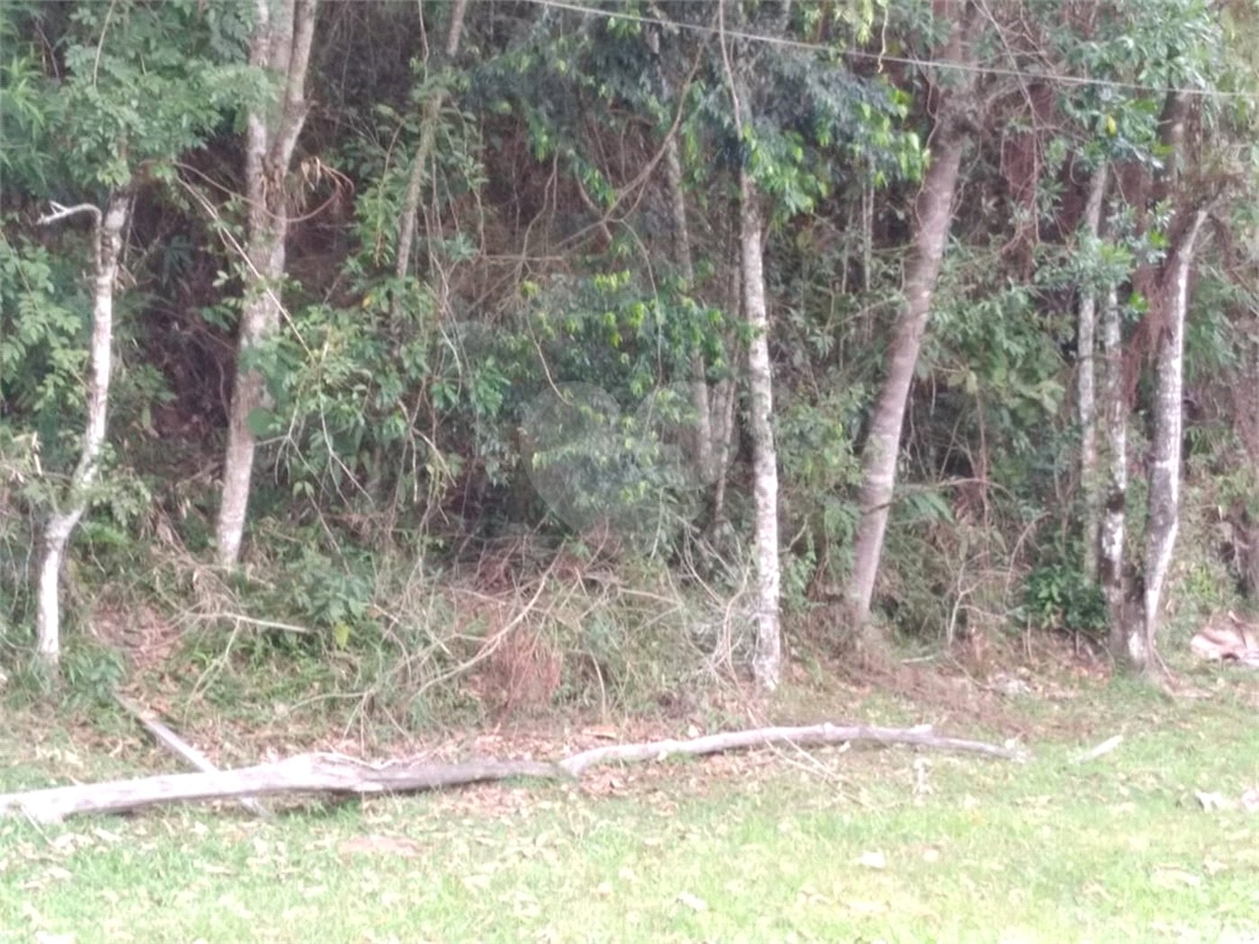 Terreno à venda em Serra da Cantareira, Mairiporã, SP