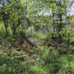 Chácara à venda com 2 quartos em Vila Caputera, Mogi das Cruzes, SP