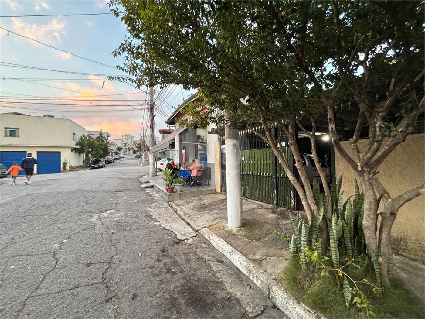 Casa Térrea à venda com 3 quartos em Vila Maria Alta, São Paulo, SP
