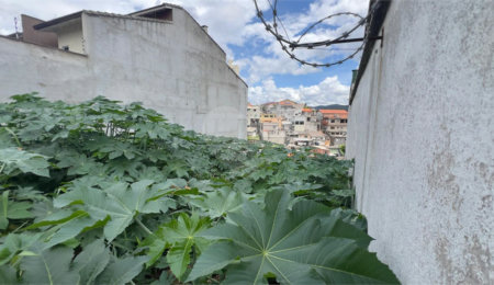 Terreno à venda em Jardim Guapira, São Paulo, SP