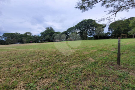 Loteamento Residencial no Condomínio Vila Pinhal do Broa