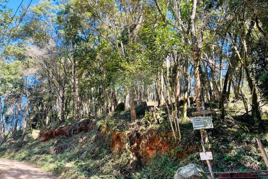 Terreno à venda em Jundiaizinho (terra Preta), Mairiporã, SP