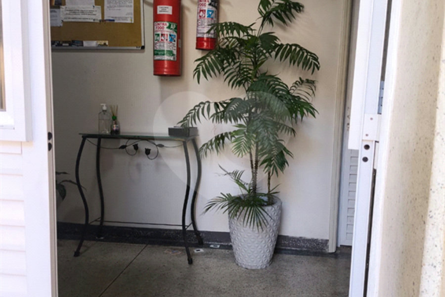 Apartamento para alugar com 1 quarto em Tucuruvi, São Paulo, SP