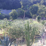 Casa à venda com 5 quartos, sendo 1 suíte, no condomínio Village da Serra, Araçoiaba da Serra - SP