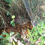 Terreno à venda em Chácara Fernão Dias, Bragança Paulista, SP