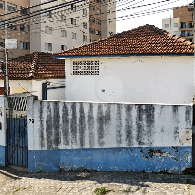 Terreno à venda ou para alugar em Vila Mazzei, São Paulo, SP