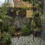 Casa à venda com 2 quartos no condomínio Res Bem-te-vi, São Paulo - SP