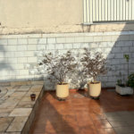 Casa à venda com 3 quartos, sendo 1 suíte,  em Vila Galvão, Guarulhos, SP