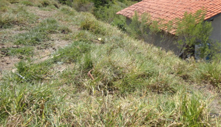 Chácara à venda com 4 quartos em Vista Alegre, Vinhedo, SP