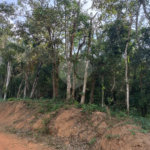 Terreno à venda no condomínio Residencial Sitio da Hortensias, São Roque - SP