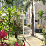 Apartamento para alugar com 2 quartos em Pirituba, São Paulo, SP