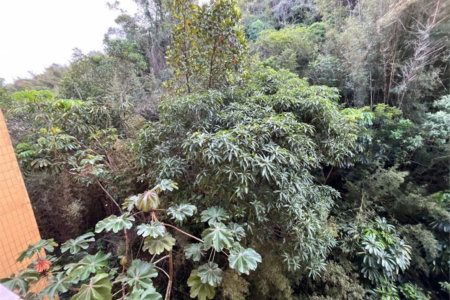 Apartamento Residencial à venda, Barra Funda, Guarujá - AP0311.