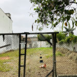 Terreno à venda em Jardim Esmeralda, São Paulo, SP