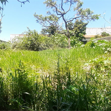 Terreno à venda em Jardim Shangri-lá, Atibaia, SP