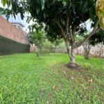 Casa à venda com 3 quartos, sendo 1 suíte, em Portal do Morumbi, Ponta Porã, MS