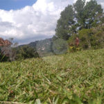 Casa à venda com 5 quartos, sendo 3 suítes, no condomínio Alpes da Cantareira, Mairiporã - SP