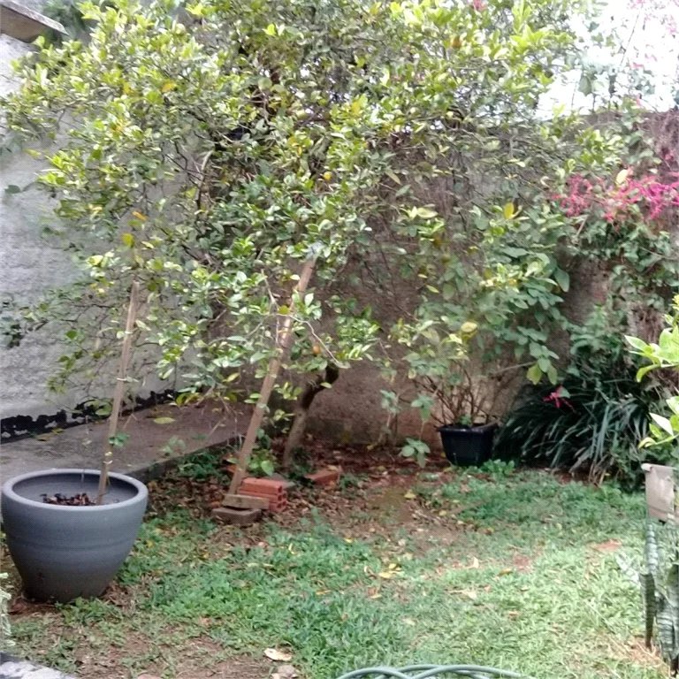 Casa à venda com 2 quartos em Jardim Monte Kemel, São Paulo, SP