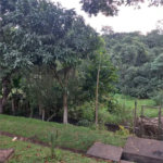 Apartamento para alugar com 2 quartos em Jardim da Glória, Cotia, SP