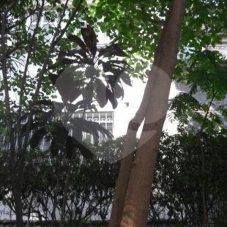 Terreno à venda com 4 quartos em Santana, São Paulo, SP
