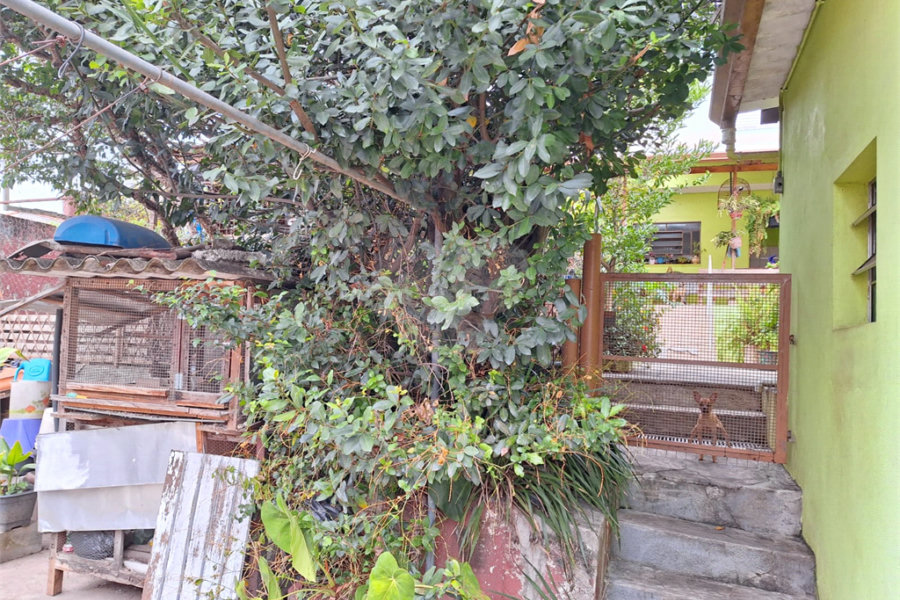 Casa Térrea à venda com 5 quartos, sendo 3 suítes,  em Vila Mazzei, São Paulo, SP