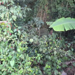 Terreno à venda no condomínio Sausalito, Mairiporã - SP