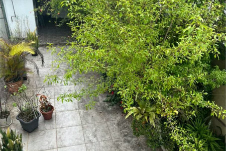 Casa à venda com 5 quartos, sendo 3 suítes, em Jardim Bonfiglioli, São Paulo, SP