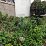 Terreno à venda com 1 suíte em Vila Constança, São Paulo, SP