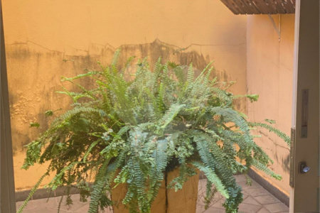 Casa Térrea à venda com 3 quartos, sendo 1 suíte, em Jardim Maria Luiza, Araraquara, SP