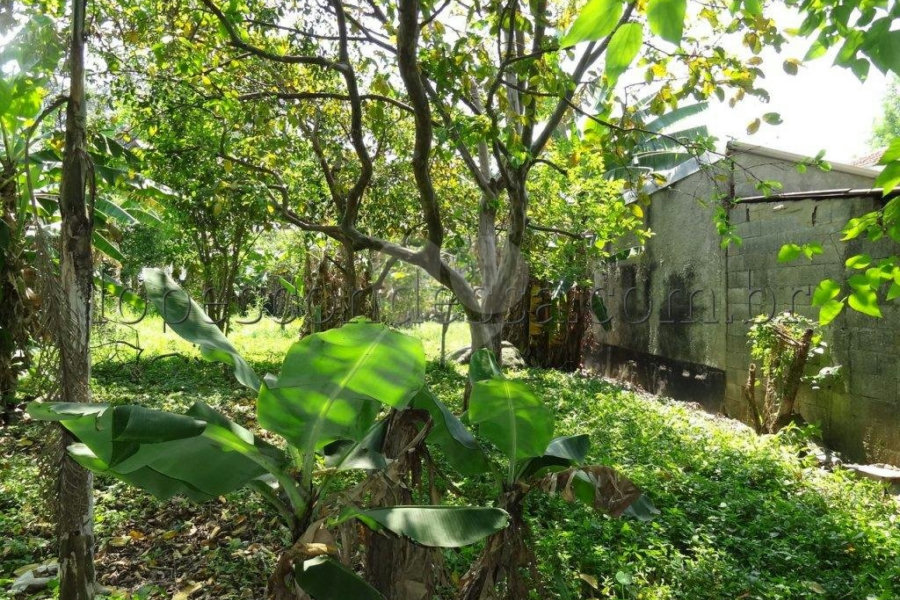 Terreno à venda em Horto Florestal, São Paulo, SP