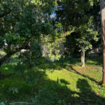 Casa à venda com 2 quartos, sendo 1 suíte,  em Chapadinha, Itapetininga, SP