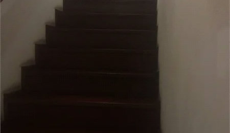 Casa à venda com 4 suítes em Parque Independência, São Paulo, SP