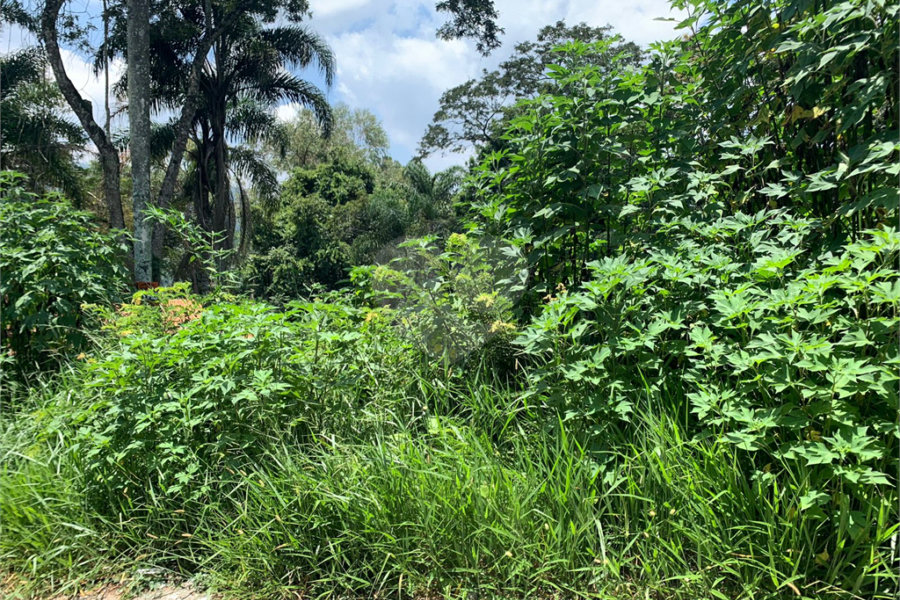Terreno à venda em Roseira, Mairiporã, SP