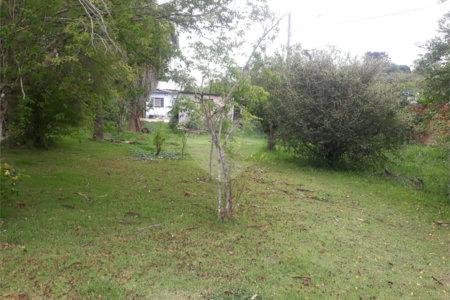 Terreno para alugar em Jardim Rene, São Roque, SP