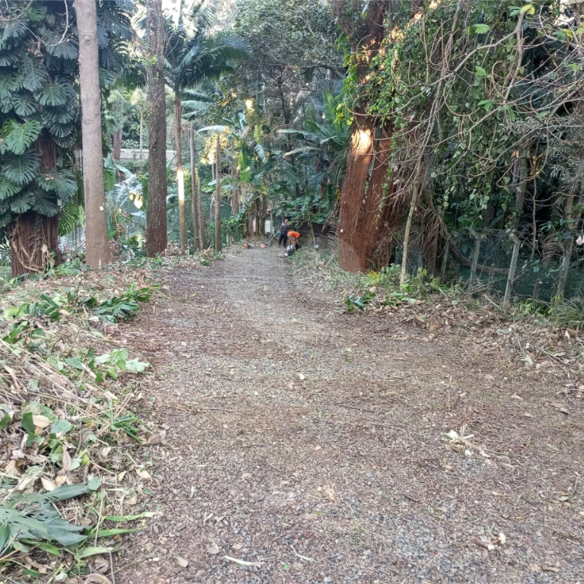 Terreno à venda com 1 suíte em Alto da Boa Vista, São Paulo, SP