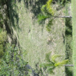 Chácara à venda com 2 quartos, sendo 1 suíte, em Santa Cândida, Vinhedo, SP