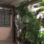 Casa Térrea Ampla com 4 Dormitórios, Suíte e Quintal à Apenas 15 Minutos do Estação Tatuapé.