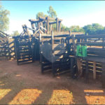 Chácara à venda com 6 quartos no Centro, Terenos, MS