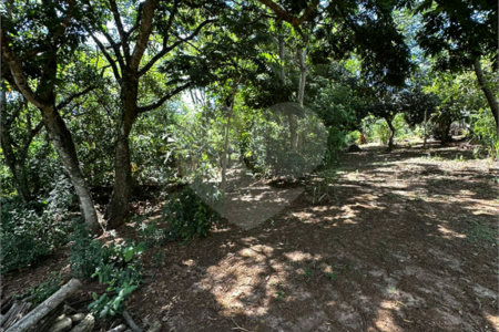 Terreno à venda em Residencial Emilio de Andrade, Ponta Porã, MS