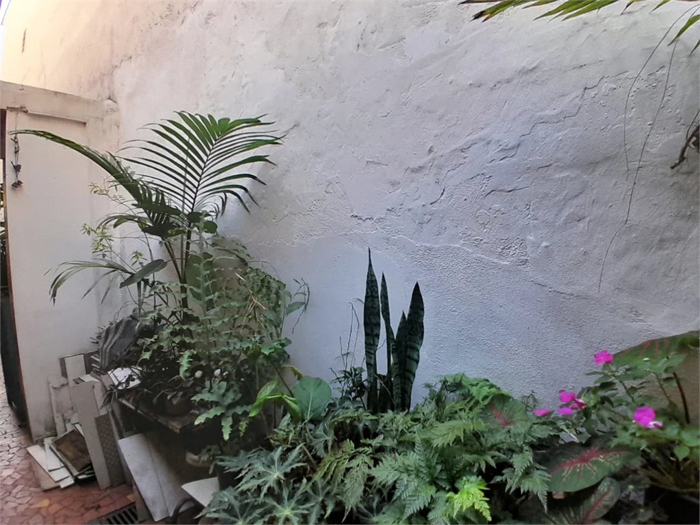 Casa à venda com 4 quartos em Vila Ipojuca, São Paulo, SP
