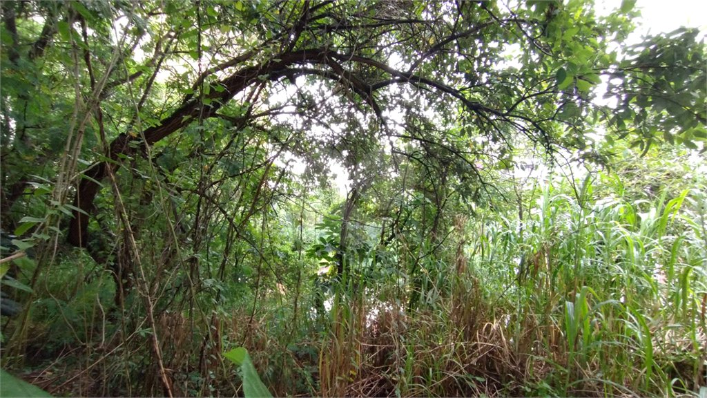 Terreno à venda em Vila Suzana, São Paulo, SP