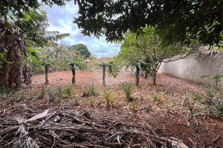 Chácara à venda com 3 quartos em Vila Sottemo, Itapetininga, SP