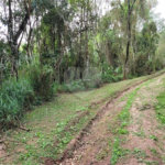 Terreno à venda em Serra da Cantareira, Mairiporã, SP
