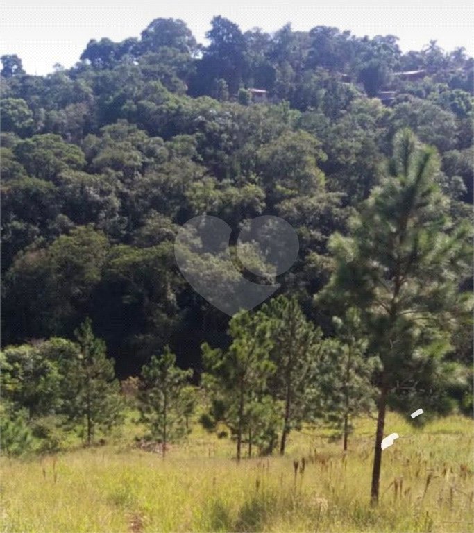 Terreno à venda em Estância Santa Maria do Portão, Atibaia, SP