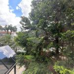 Apartamento à venda com 3 quartos, sendo 1 suíte, em Vila Paulicéia, São Paulo, SP