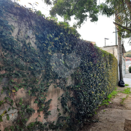 Terreno à venda em Chácara Monte Alegre, São Paulo, SP