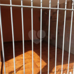 Casa Térrea à venda com 9 quartos, sendo 1 suíte, em Freguesia do Ó, São Paulo, SP