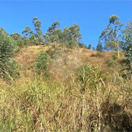 Terreno à venda em Caete (mailasqui), São Roque, SP