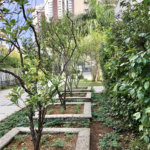 Apartamento à venda com 1 suíte em Pinheiros, São Paulo, SP