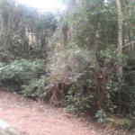 Terreno à venda em Suasalito, Mairiporã, SP