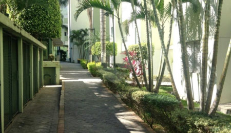 Apartamento à venda com 2 quartos em Vila Nova Cachoeirinha, São Paulo, SP